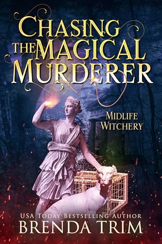 Chasing the Magical Murderer book cover