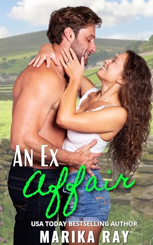 An Ex Affair book cover