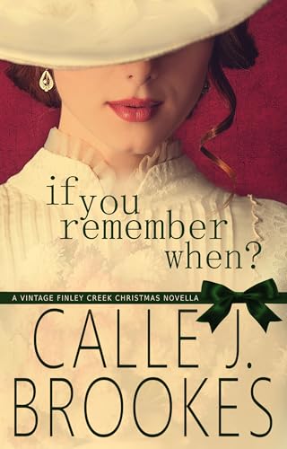 If You Remember When book cover
