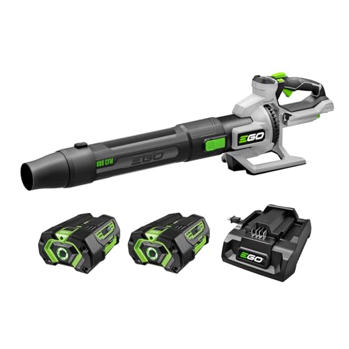 EGO LB8803-2 880 CFM cordless blower kit with two batteries