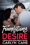 Foundations of Desire: A Second Chance Forced Proximity Romance