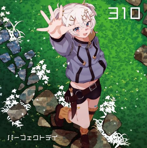 パーフェクトデイ jacket from amazon