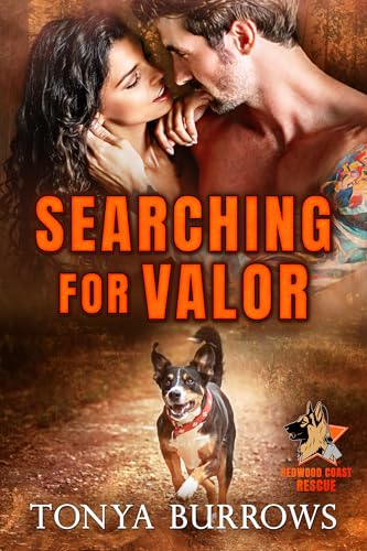 Searching for Valor book cover