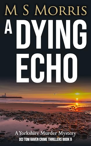 A Dying Echo cover