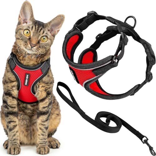 Voyager Escape Proof Cat Harness and Leash Set with Reflective Stitching, Neoprene Handle 5ft - Supports Small, Medium and Large Cats, Kittens for Walking by Best Pet Supplies - Black Trim-Red, S