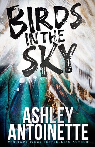 Birds in the Sky1) book cover