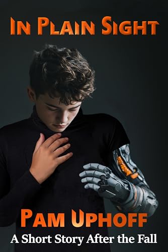 In Plain Sight cover