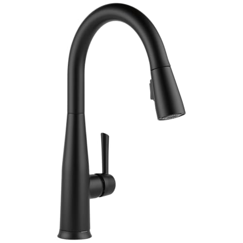 Delta Faucet Essa VoiceIQ Touchless Kitchen Faucet