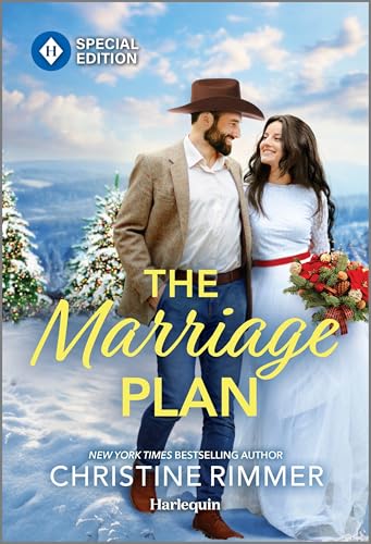 The Marriage Plan book cover