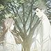 will be fine feat. Anly (通常盤) (特典なし)