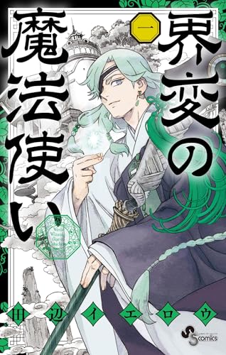 界変の魔法使い の表紙