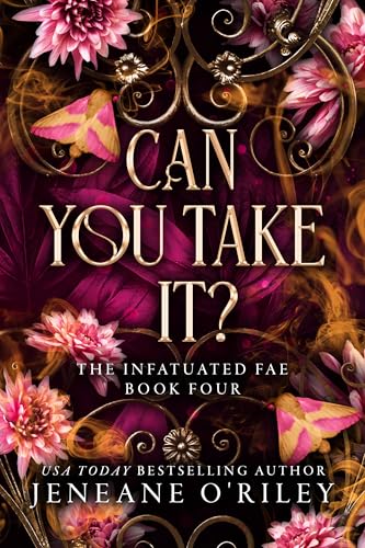 Can You Take It? book cover