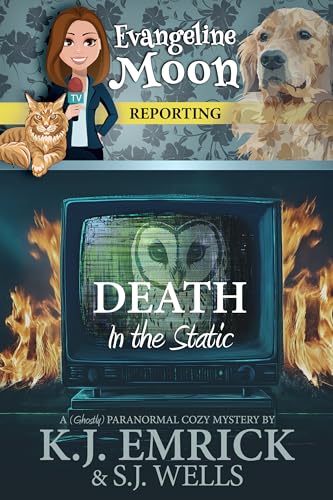 Death in the Static book cover