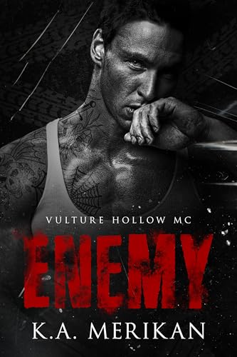 Enemy book cover