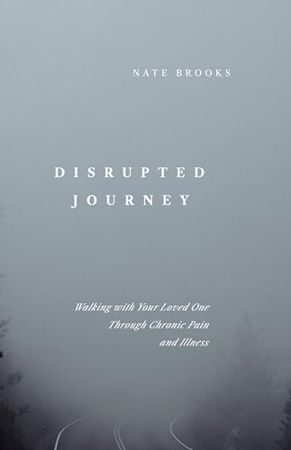 Disrupted Journey