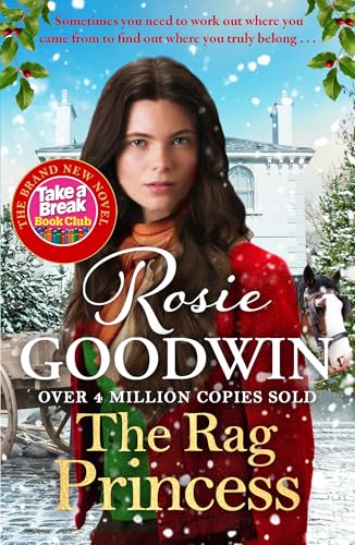 The Rag Princess book cover