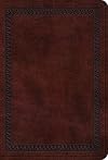 ESV Value Large Print Compact Bible (TruTone, Mahogany, Border Design): Holy Bible, English Standard Version