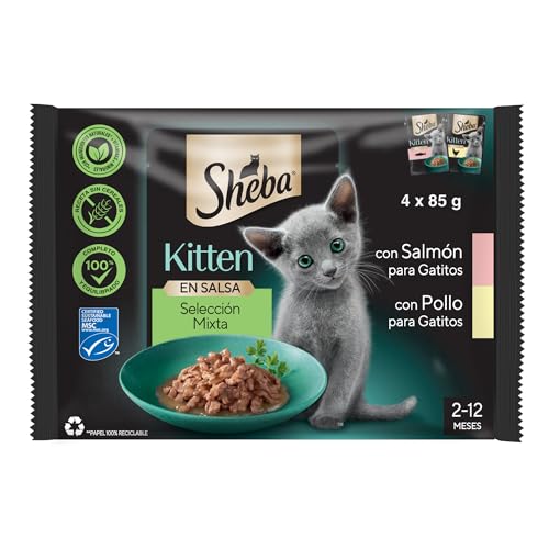 Sheba Kitten Selección Salmón Multipack 24×85 g