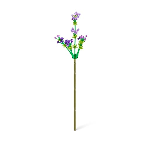 Candide, Max, Flowers, Blocos de Montar, Max Premium - Até 243 Peças