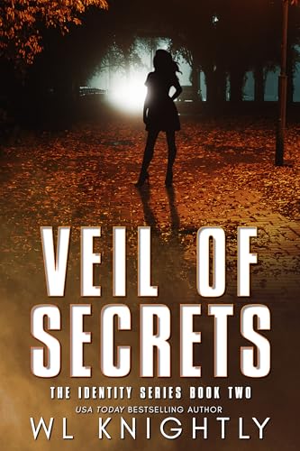 Veil of Secrets book cover