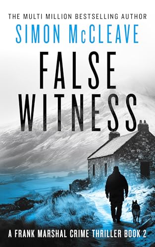 False Witness book cover