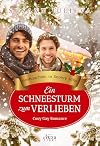 Ein Schneesturm zum Verlieben: Cosy Gay Romance Weihnachtsroman (Weihnachten in Snowy Hills 1) (German Edition)