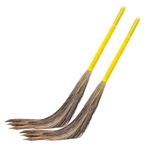 Phool Broom, Long Handle, Easy Floor Cleaning 400g(Multi-use), Pack of 2