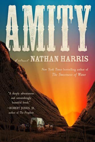 Amity book cover