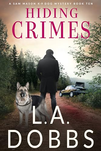 Hiding Crimes book cover