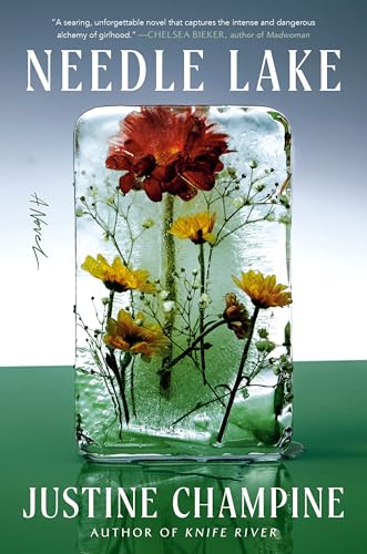 Needle Lake book cover