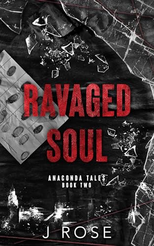 Ravaged Soul book cover