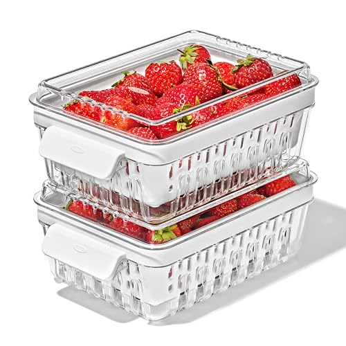 OXO Good Grips Produce Saver - Berry Keeper 2-Piece Set