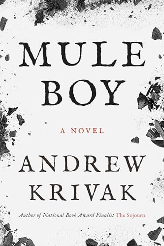 Mule Boy book cover