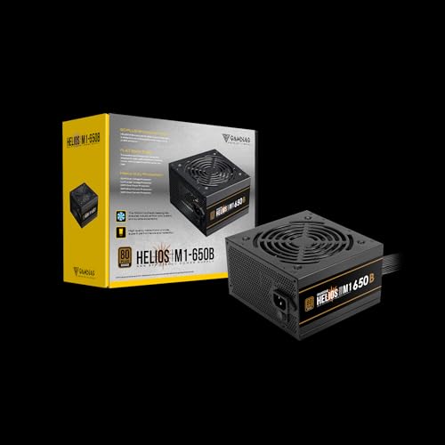 GAMDIAS Helios M1 650B Power Supply Unit, 650W, 80 Plus Bronze, Non-Modular, ATX 12V V2.4, Support C6/C7 Power State, 120mm Hydraulic Bearing Fan, Fla
