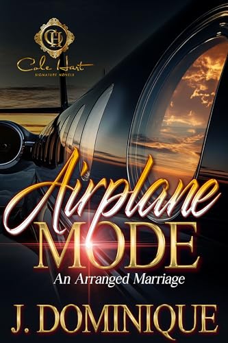 Airplane Mode book cover