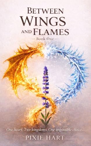 Discounted Book