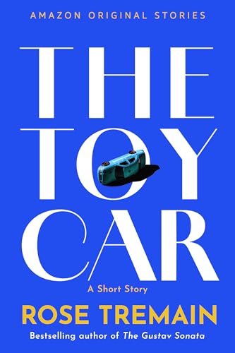 The Toy Car book cover