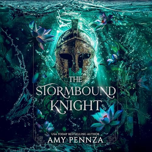 The Stormbound Knight book cover