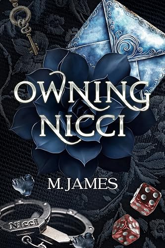 Owning Nicci book cover