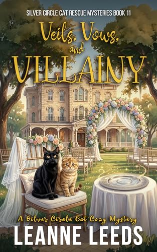 Veils, Vows, and Villainy book cover