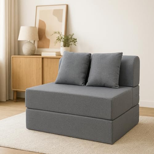 Amazon Brand - Solimo 2 Seater Sofa Cum Bed 6x3 Feet with 2 Cushions, 3 in 1 Convertible Sofa Lounger, Portable Foldable Foam Mattress with Washable C