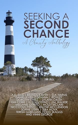 Seeking a Second Chance book cover