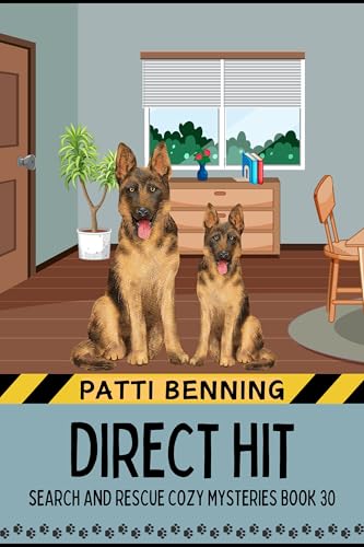 Direct Hit book cover
