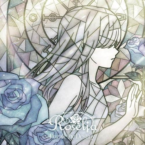 Dazzle the Destiny jacket from amazon