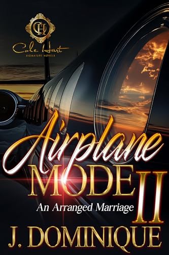 Airplane Mode 2 book cover