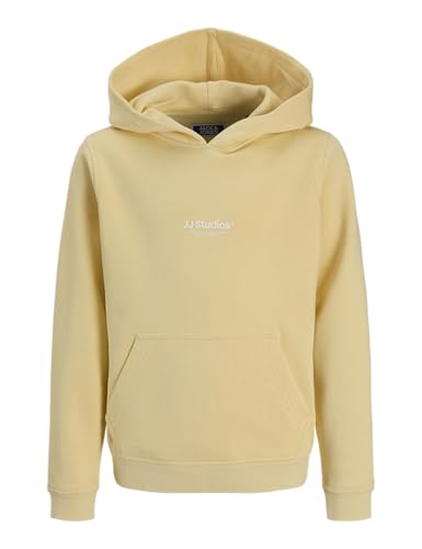 ⚡ BLITZDEAL (-70%) JACK & JONES Jjesoho Sweat Hood Noos Mni