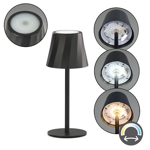 🔥 STARKER PREIS (-33%) Reality Leuchten LED Akku Außen Tischleuchte Diaz R55961132, Metall Schwarz matt, inkl. 1.6 Watt LED, Lichtfarbe einstellbar, 4-fach Touch