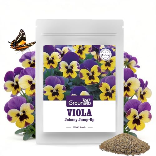 Groundio Johnny Jump Up Seeds, 10000+ Perennial Wild Violet Seeds for Planting, Edible Flowers, Attracts pollinators, Grown in The USA