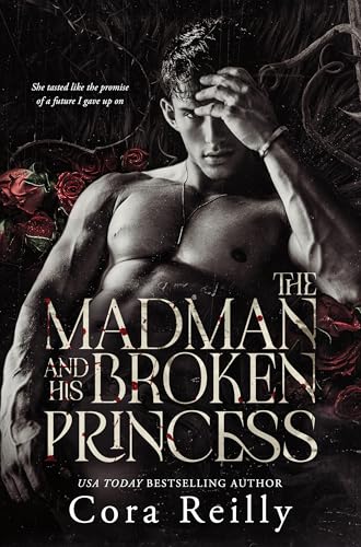 The Madman and His Broken Princess book cover