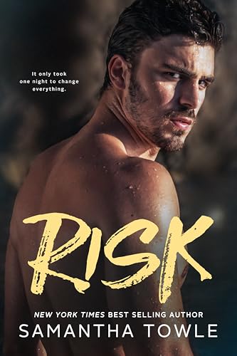 Risk book cover
